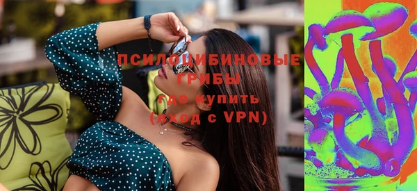 мдпв Зеленодольск