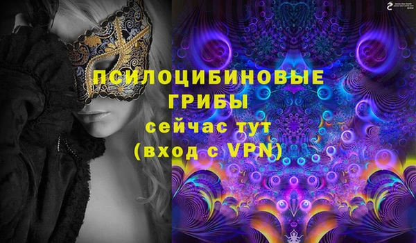 мдпв Зеленодольск
