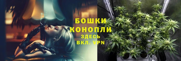 мдпв Зеленодольск